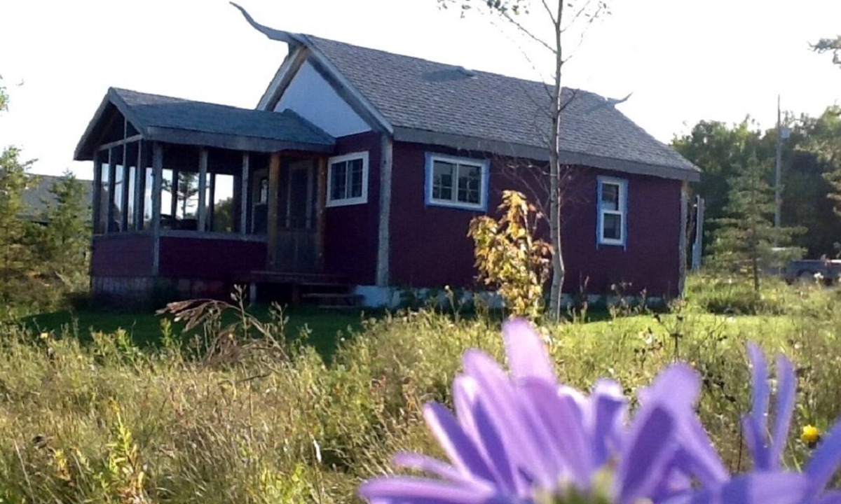 Erickson Cottage | Cozy cabin near RMNP with screened-in deck, forest and meadow views