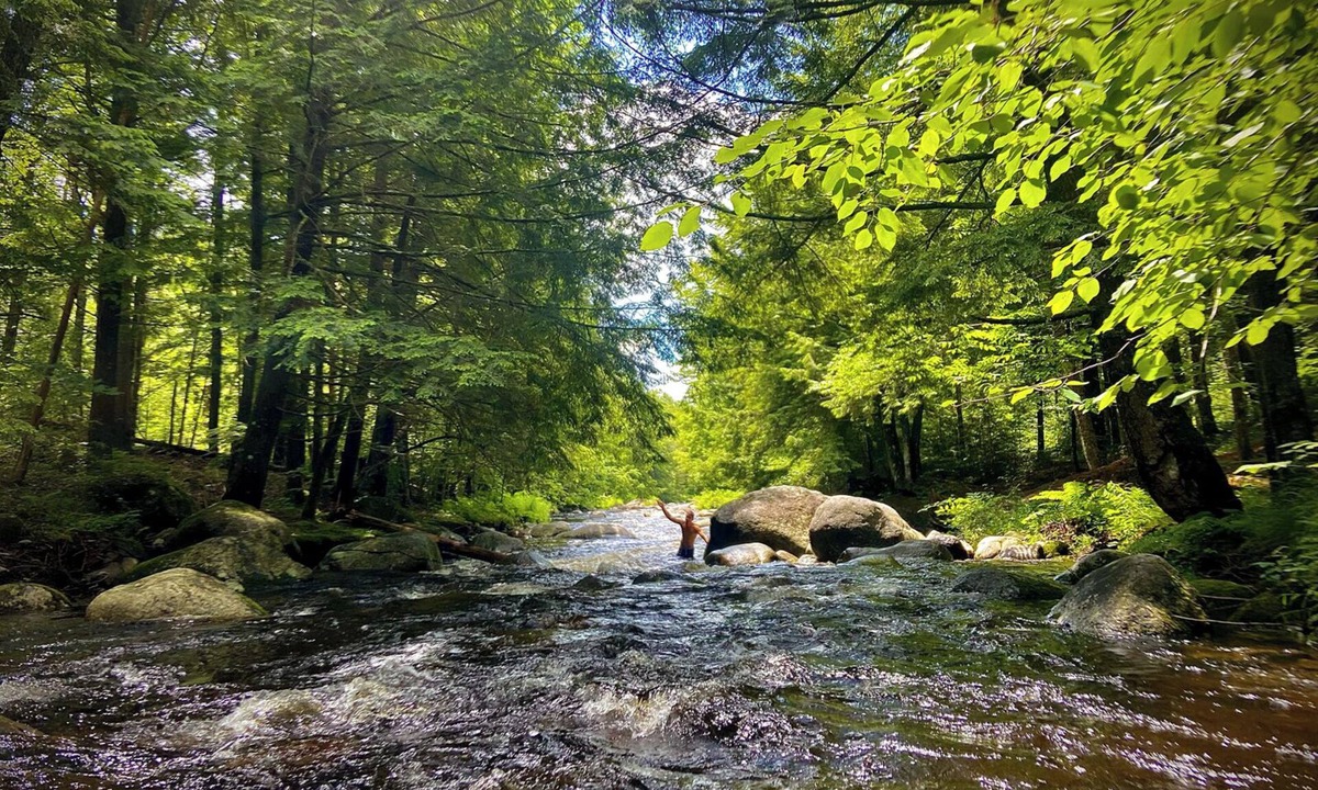 Schroon Lake Cabin | Cozy Cabin on roaring Brook