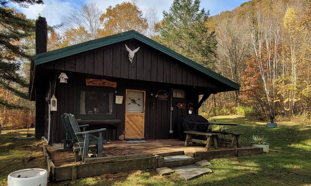 Shinhopple Cabin | Cozy Catskills Cabin: Your perfect rustic getaway - Pet friendly