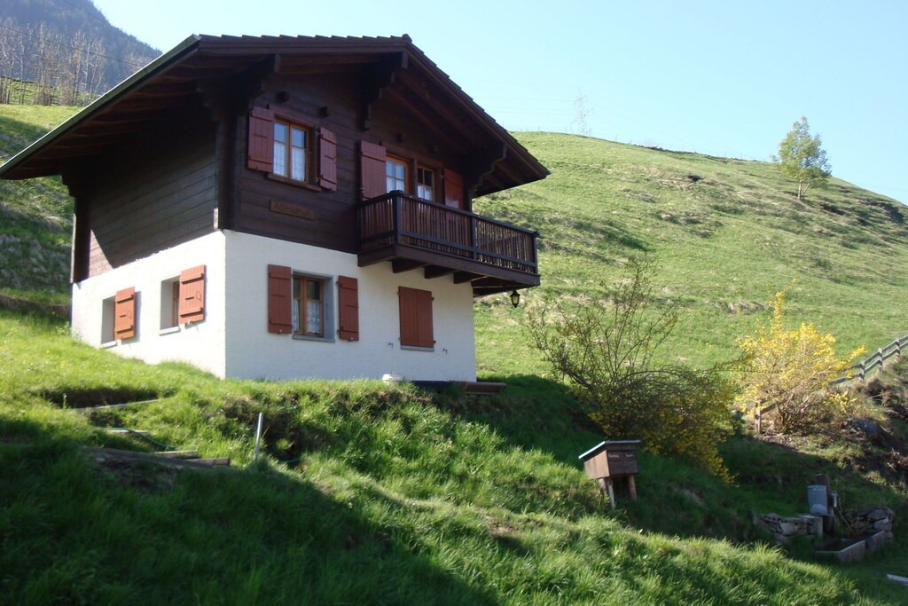 Bister Villa | Cozy Chalet in Chrixacher near Forest