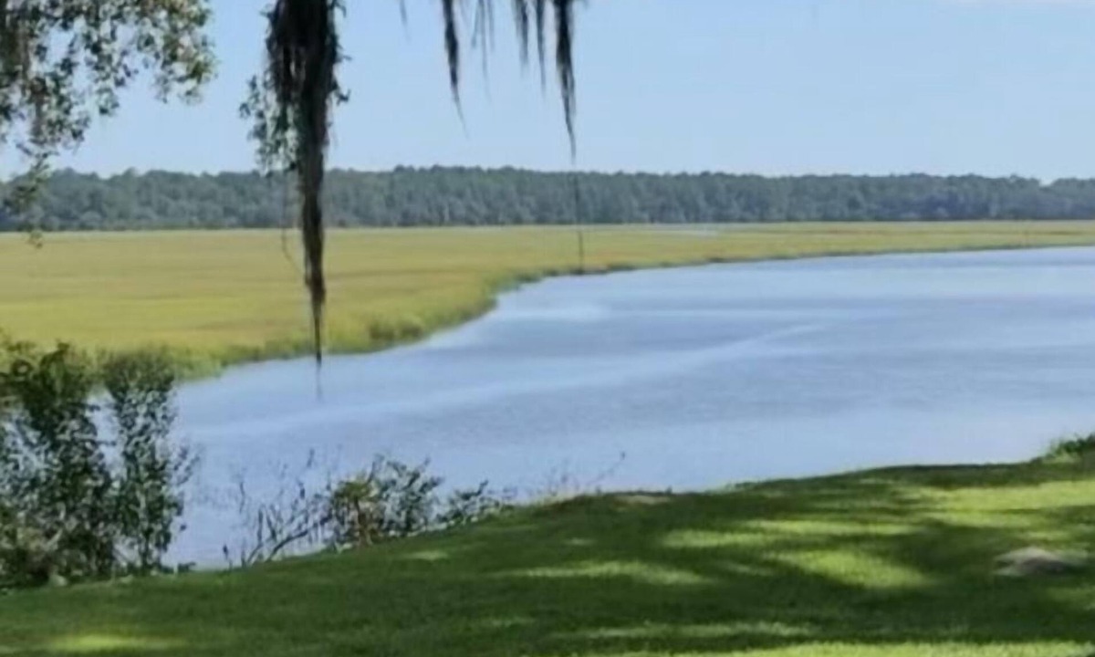 Richmond Hill Apartment | Cozy coastal cottage like studio