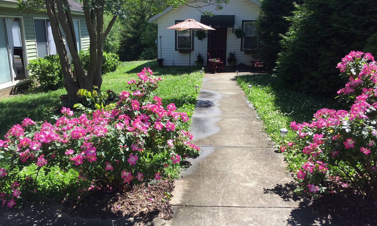 Lynn Cottage | Cozy, cottage,1bedroom 1bath,1daybed in open living space. Much liked, Monthly