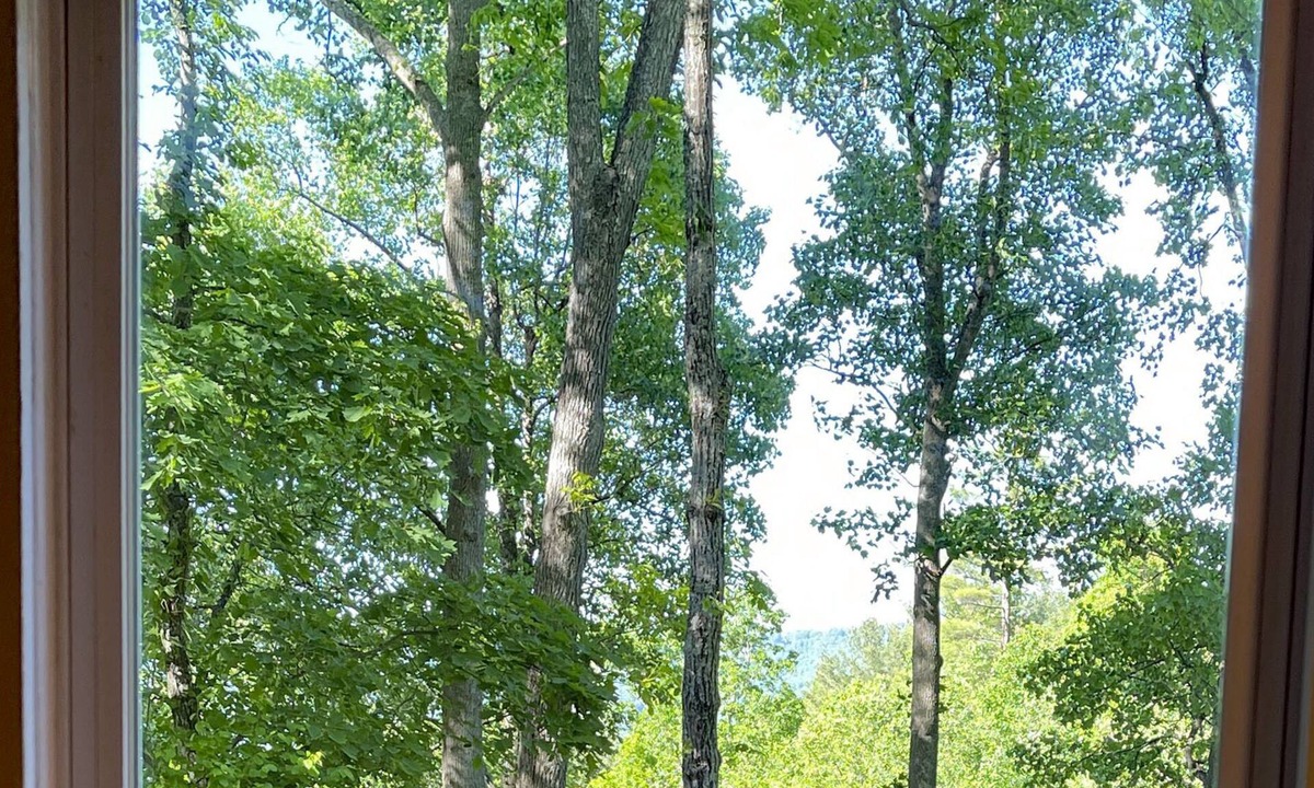 Asheville Cottage | Cozy cottage in mountains 2.2 miles from downtown.
