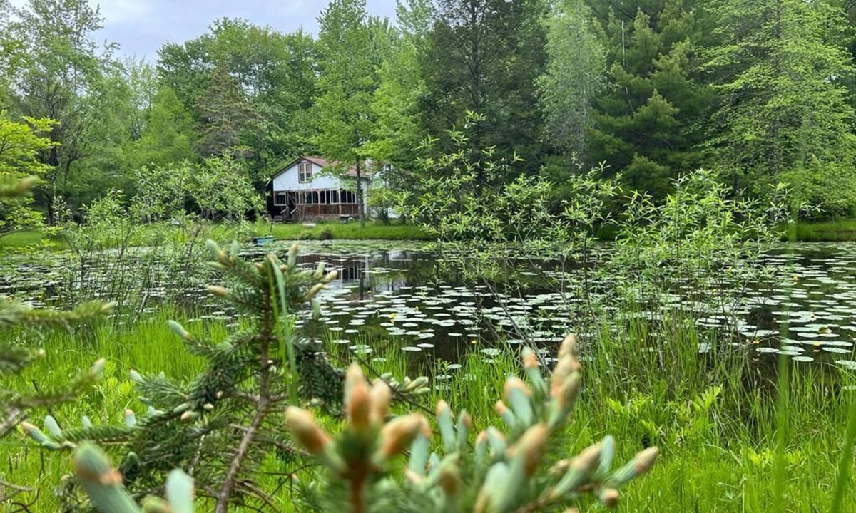 Ellenville Cottage | Cozy Cottage with a Pond