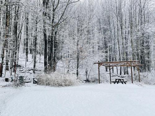 Livingston Manor House | Cozy Cottage with Jacuzzi, Sauna, Fire Pit and Reading Nook!