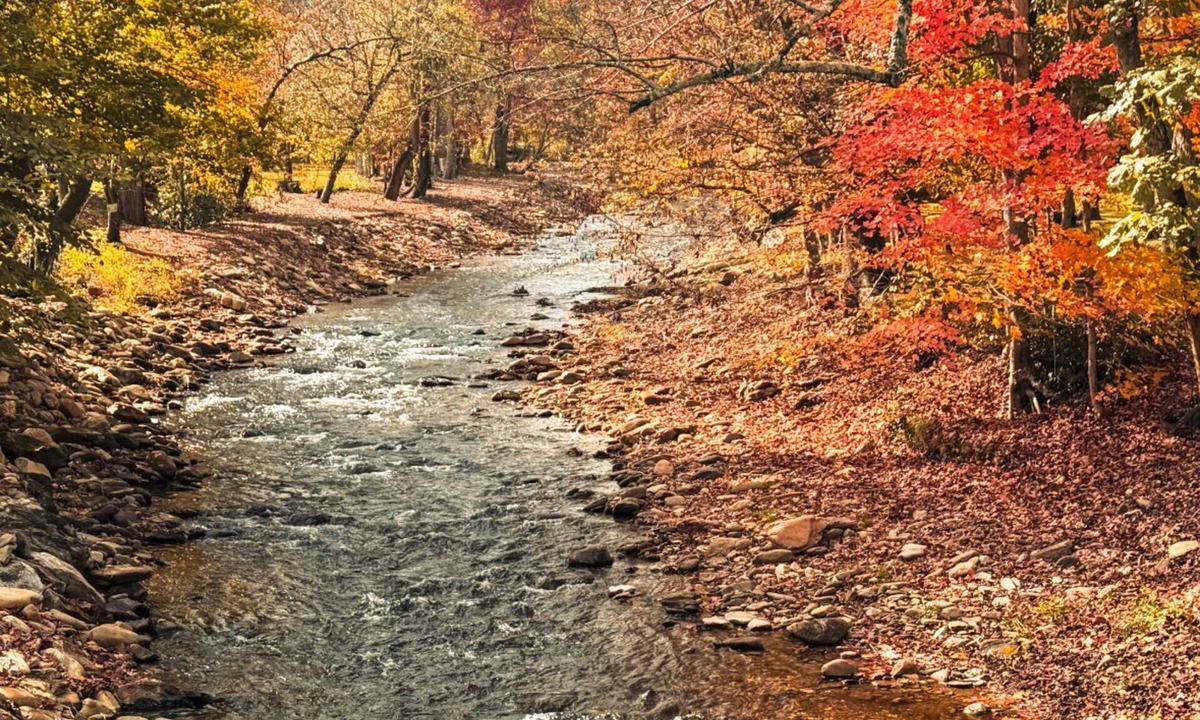 Maggie Valley Cottage | Cozy Creek Cottages
