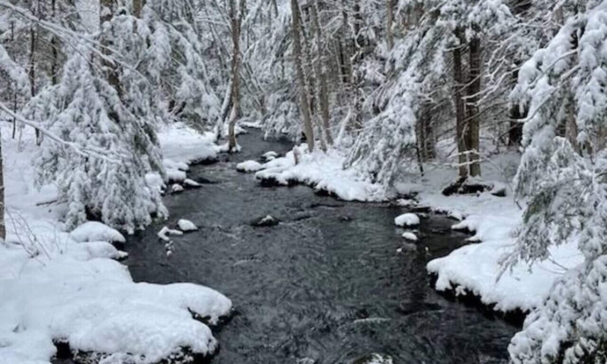 Acworth Cottage | Cozy Crescent Cottage-Lakefront-Quiet- 25 min from Mt Sunapee -Pet friendly