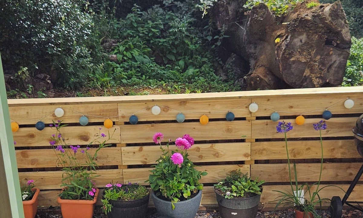 Northampton Cabin | Cozy Dog Friendly Shepherd's Hut in Northampton