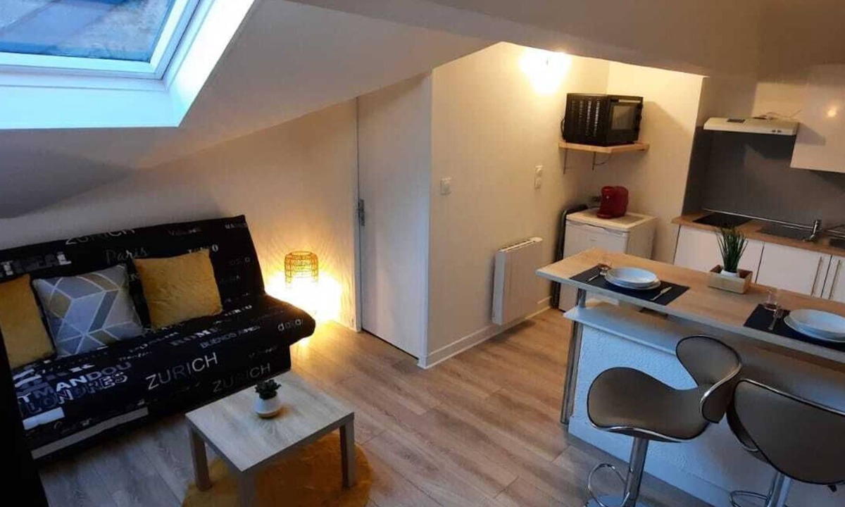 Charleville-Mezieres Apartment | Cozy Du Moulin Appt⭐️100m place Ducale⭐️wifi / Netflix