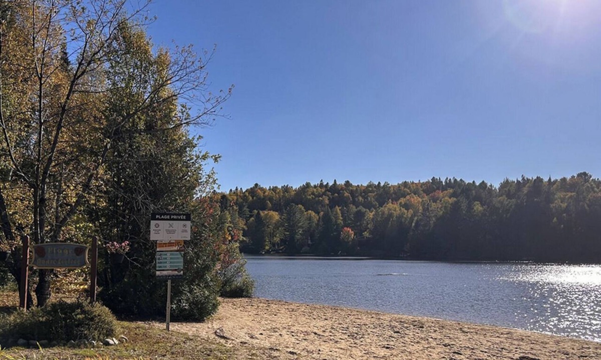 Saint Come Cabin | Cozy Forest Chalet in a Private Domain – Beaches, Lake & Ski Nearby