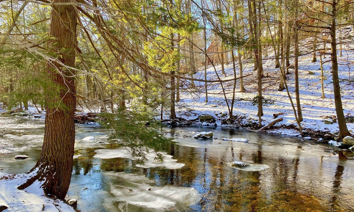 Bushkill House | Cozy Forest Creekside Home: jacuzzi, fireplace, firepit+