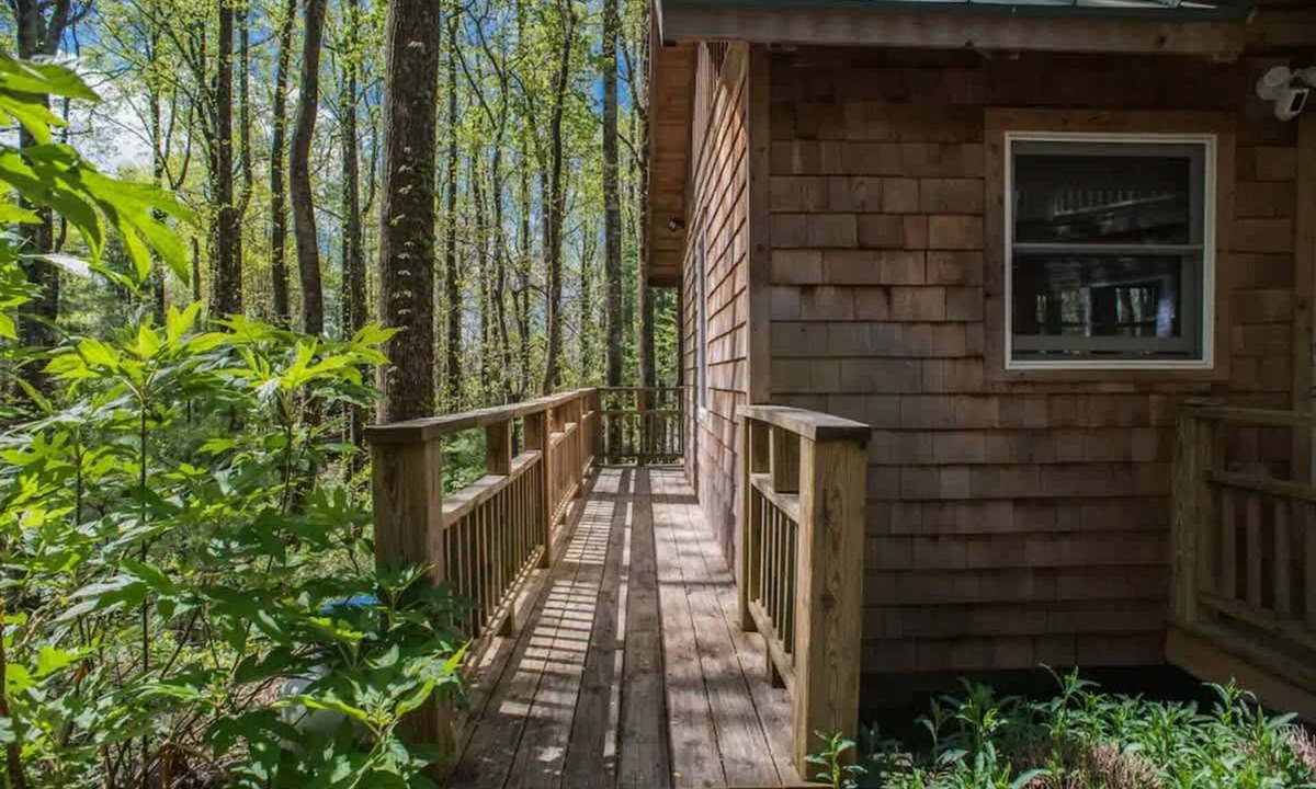 Chimney Rock Apartment | Cozy Guest Cabin Pet Friendly Secluded Peaceful