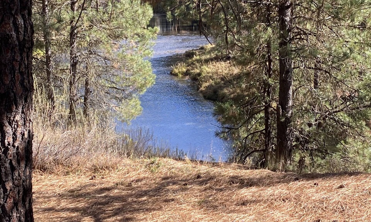 Garden Valley Cabin | Cozy home with HOT TUB, River View & Fire Pit!