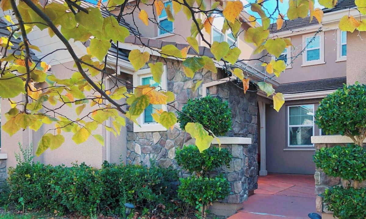 San Ramon Apartment | Cozy King 1B1b in great Tri-Valley Area