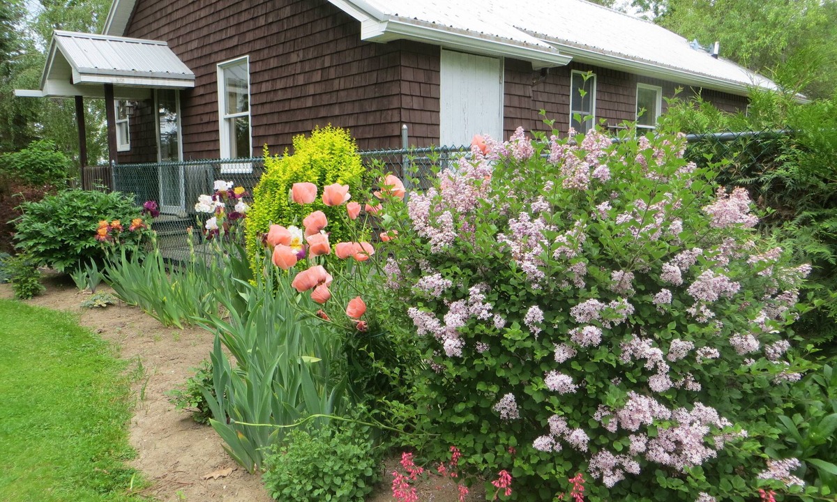 Isle La Motte House | Cozy lakeside cottage.