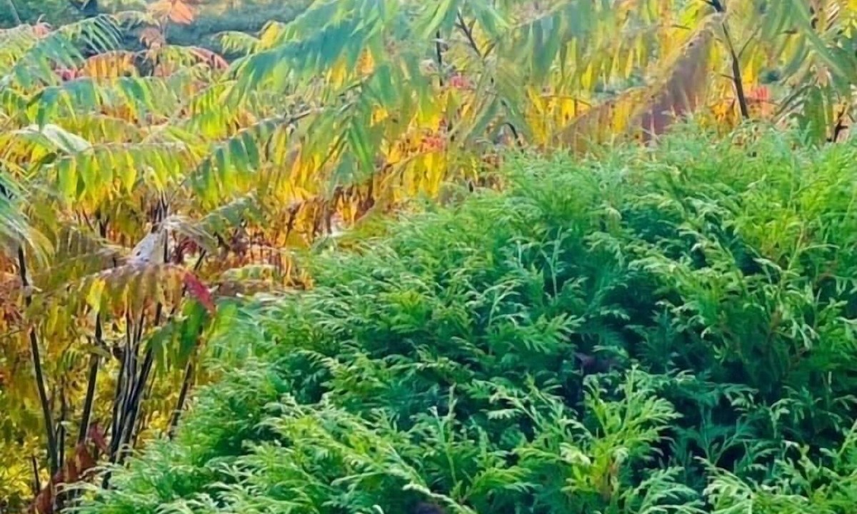 Waterbury Apartment | Cozy Mountain Getaway