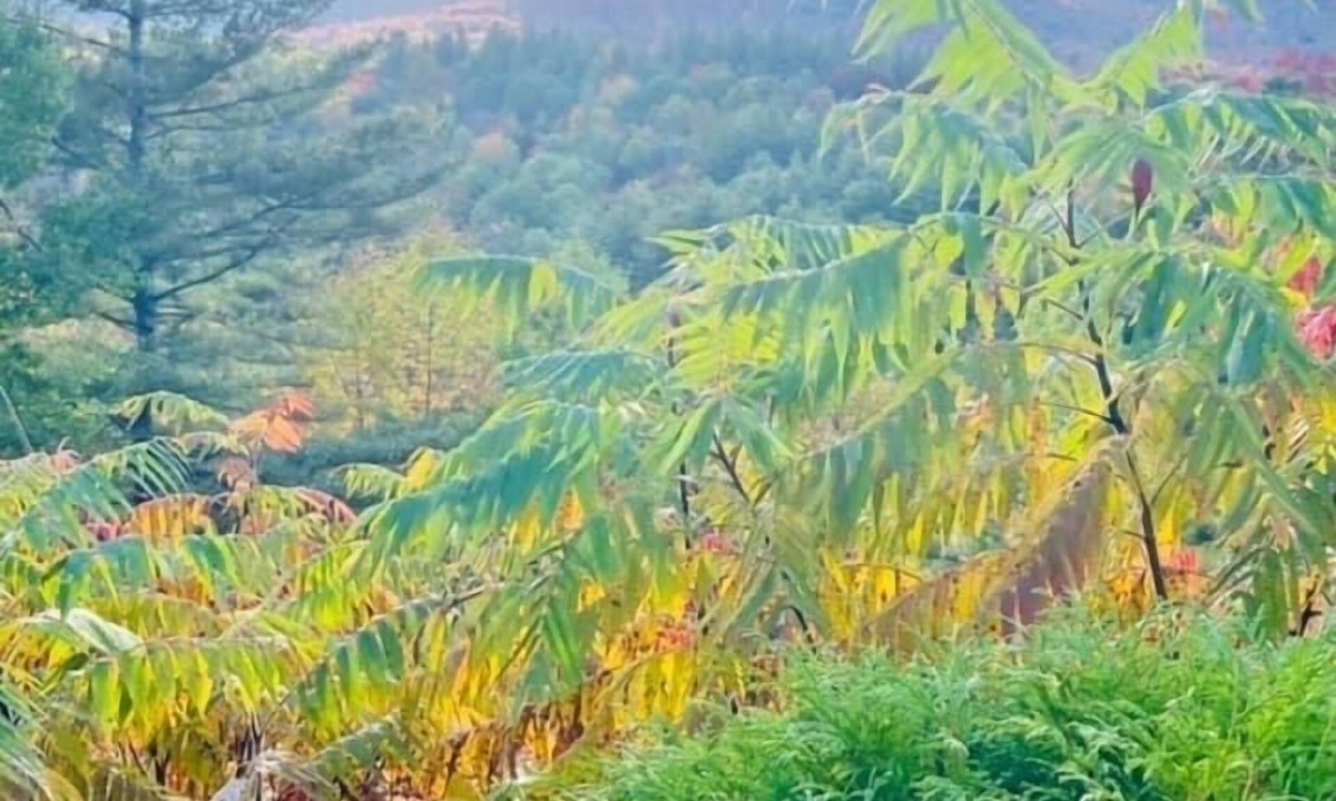 Waterbury Apartment | Cozy Mountain Getaway