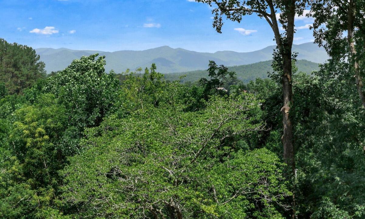 Hayesville Ski Chalet | Cozy Mountain View Chalet