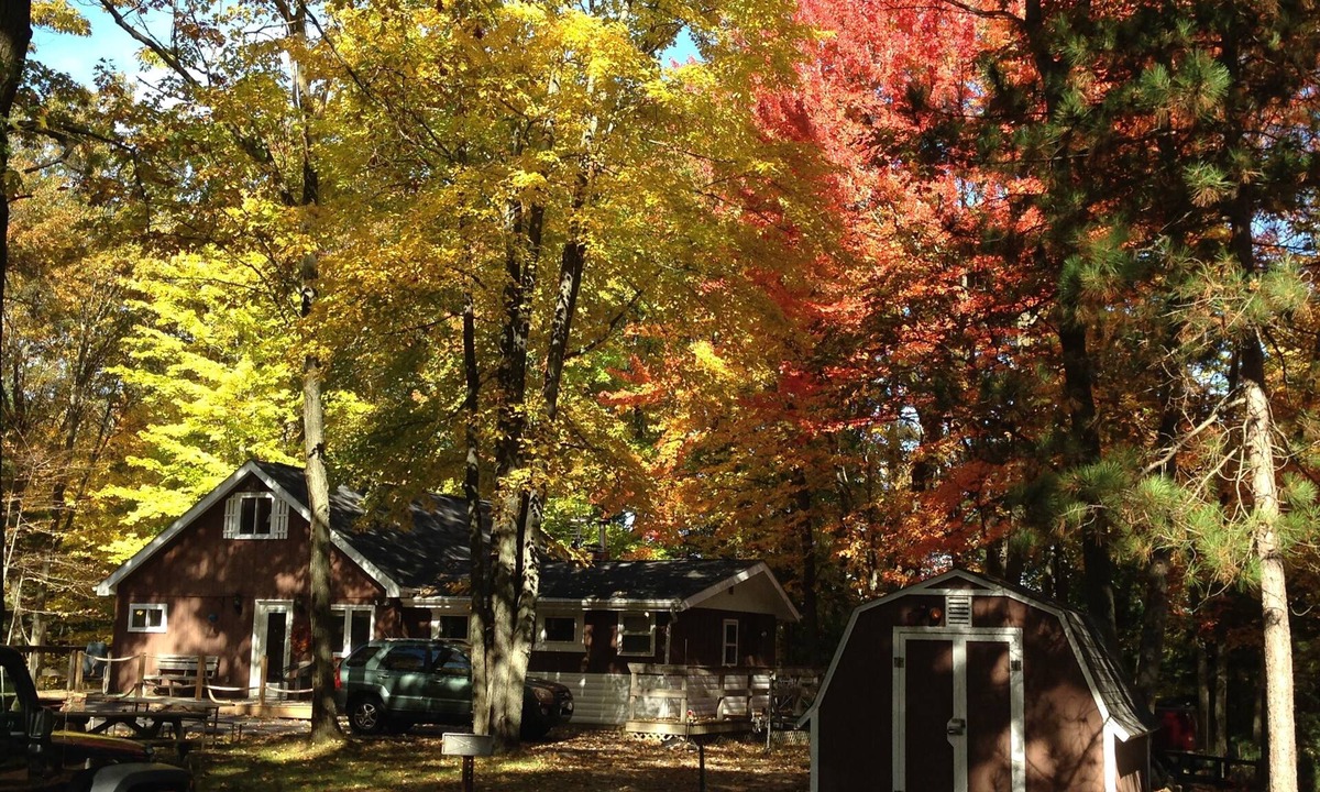 Abrams Cabin | Cozy Northwoods Cabin