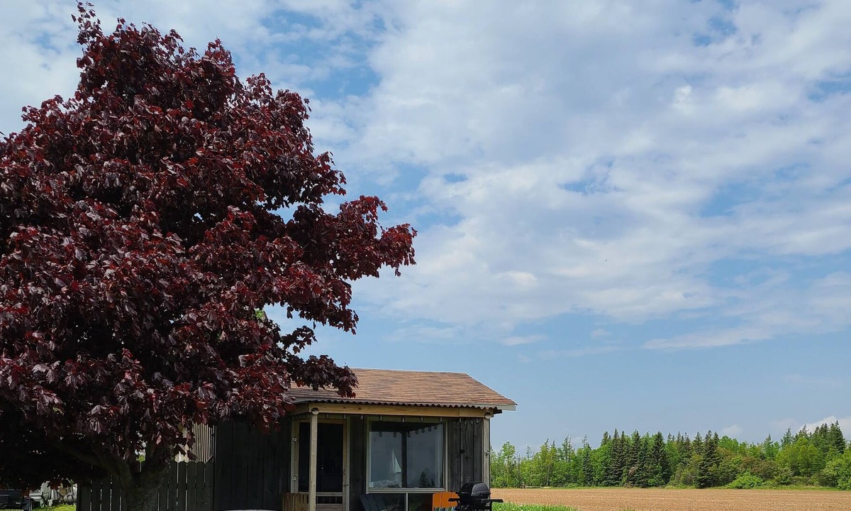Gaspereaux Cottage | Cozy oceanview cottage Overlooking the Northumberland Strait