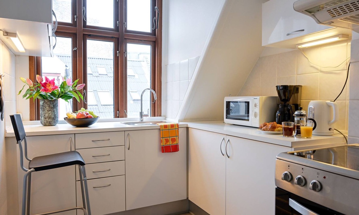 Copenhagen City Centre Apartment | Cozy One-bedroom Apartment in Copenhagen Downtown