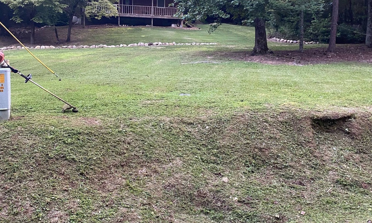 Cedar Bluff House | Cozy, Quiet Cabin Escape