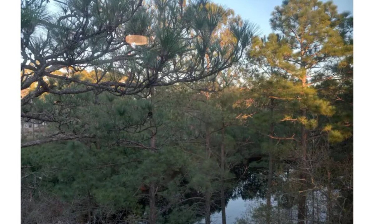 Surfside Beach Apartment | Cozy river view penthouse for 2
