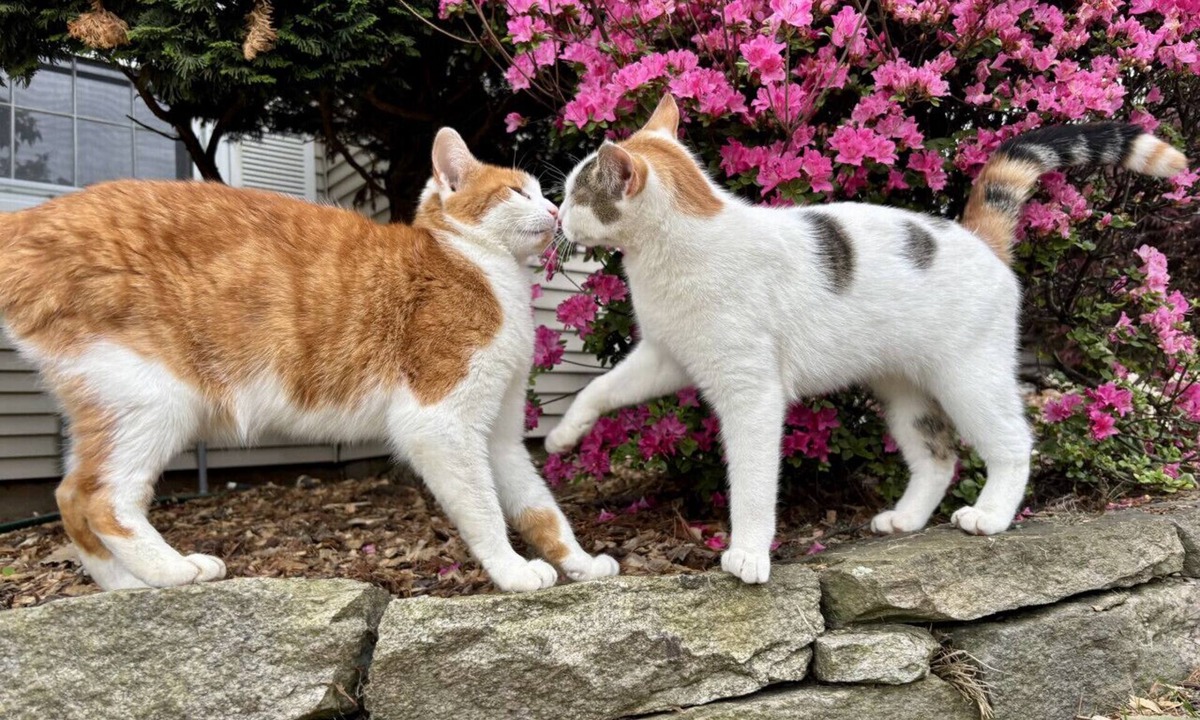 West Hartford Apartment | Cozy Rockledge Retreat