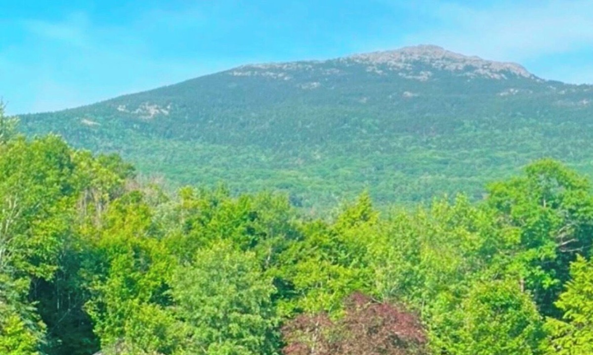 Marlborough Apartment | Cozy Romantic Mountain View studio at the base of Mt Monadnock
