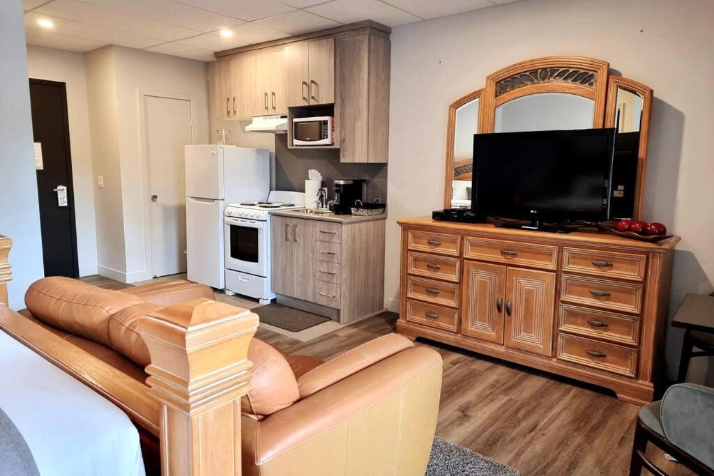 Downtown Gatineau Apartment | Cozy Spacious 1-BDR Studio #8. FREE Parking