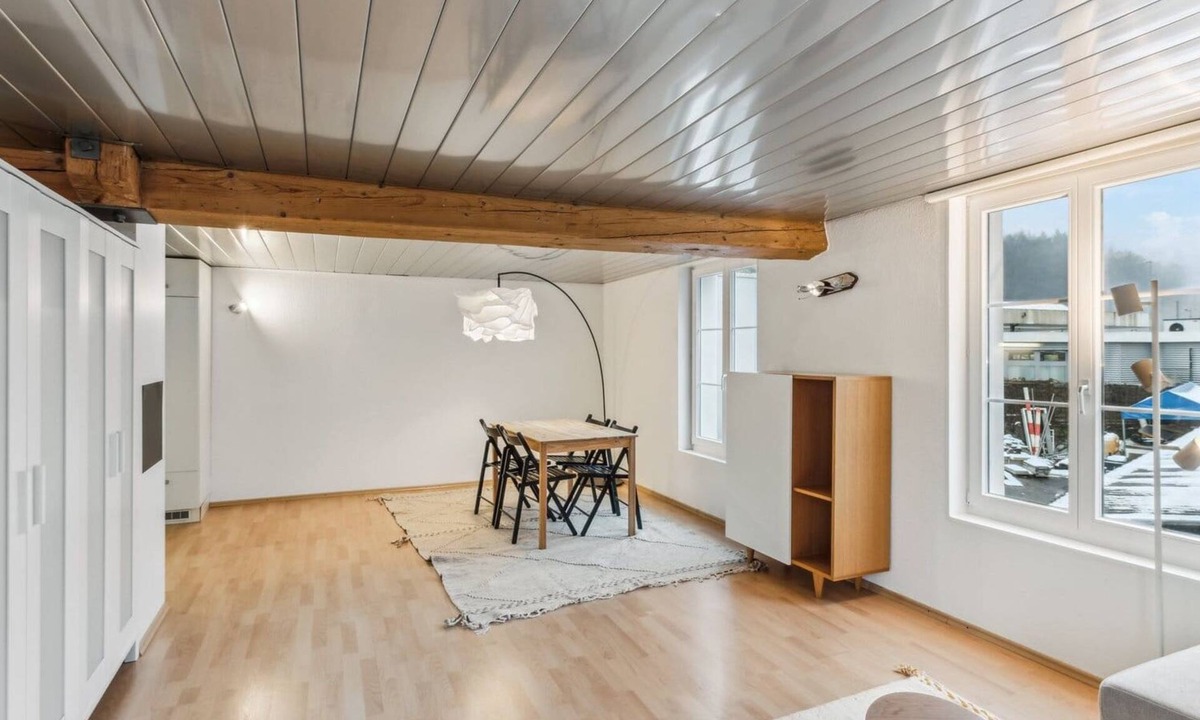 Dietikon District Apartment | Cozy Studio Charm Sum