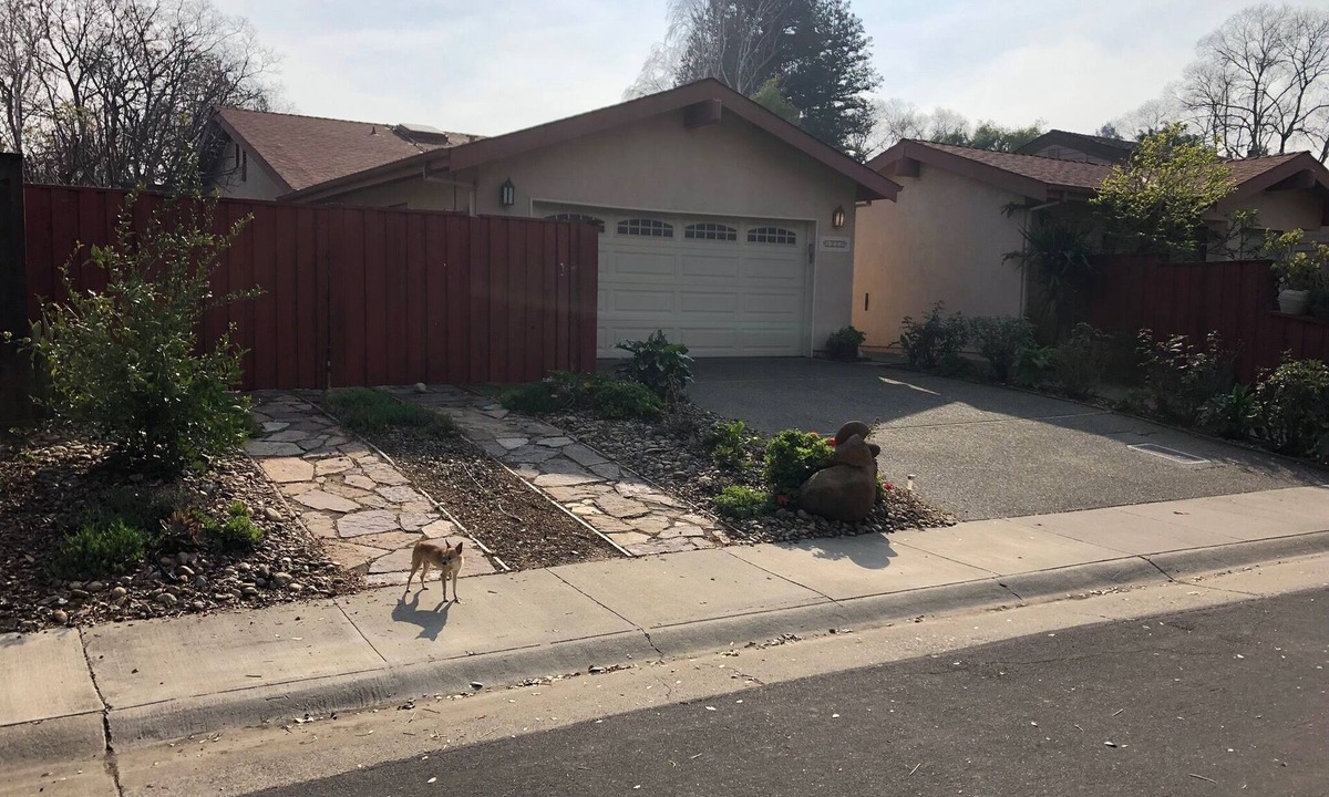 Davis Apartment | Cozy studio in Davis for you and your pet