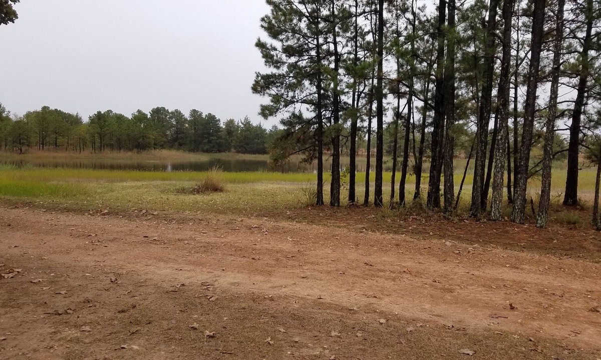 Antlers Apartment | Cozy studio pet friendly cabin- private lake - fishing & swim - Cowgirl Cabin
