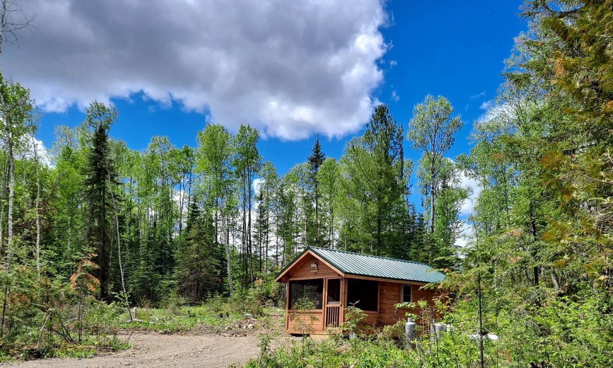 Hovland Cabin | Cozy Tiny Cabin - Off-Grid Experience with Sled Dogs Year 'round in Minnesota
