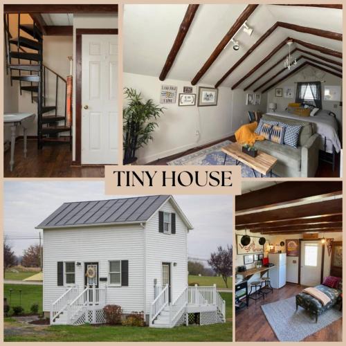 Harrisonburg House | Cozy Tinyhouse JMUDowntown Fire Pit Yard