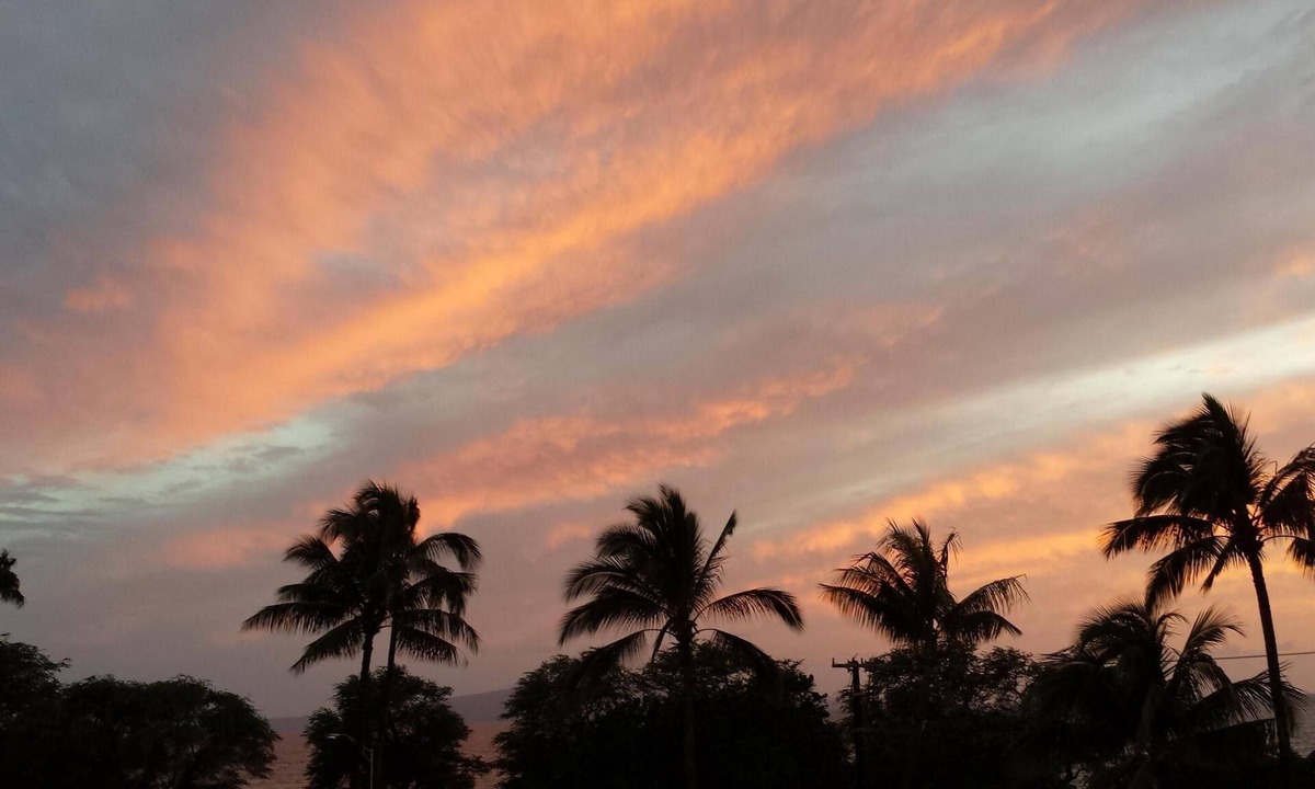 Kihei Condo | Cozy Top-Floor Maui Parkshore Condo