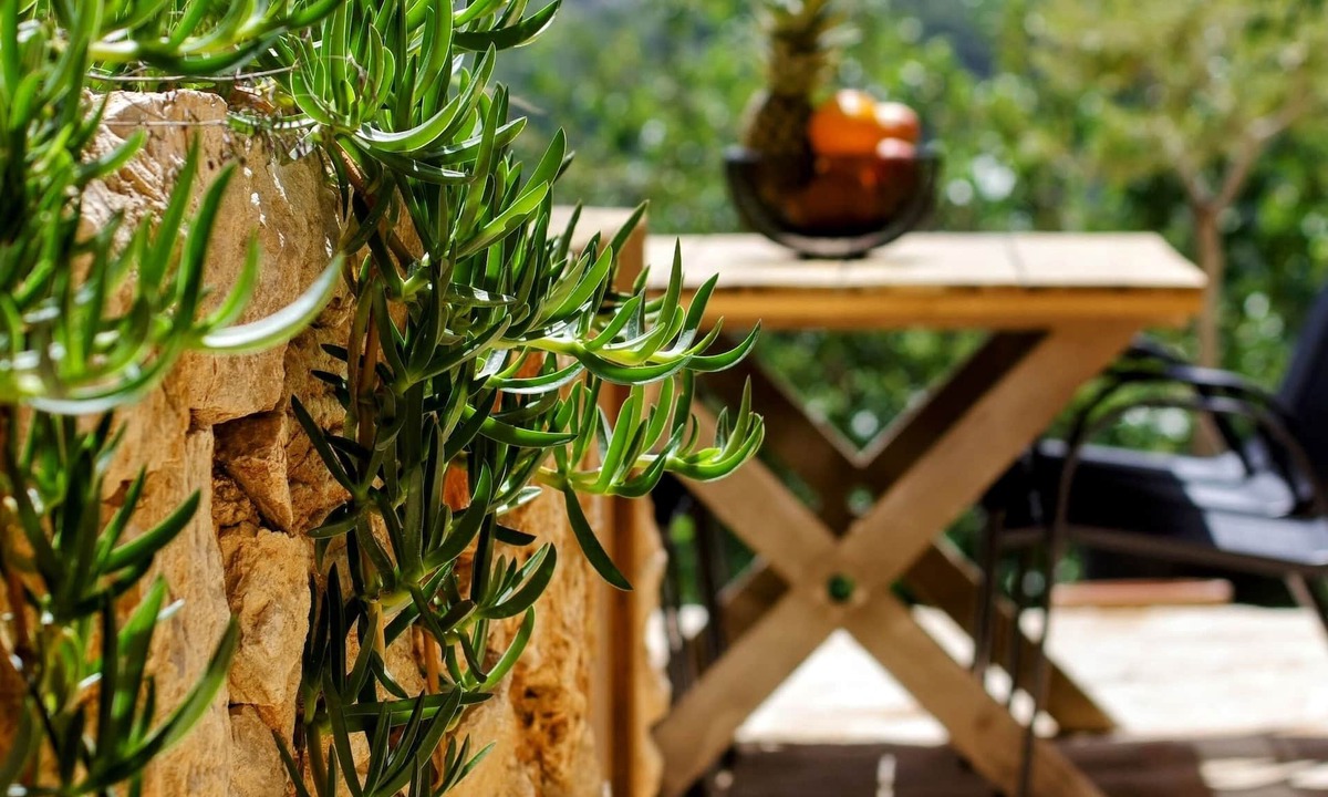 Pitve House | Cozy villa with pool on island Hvar, Croatia