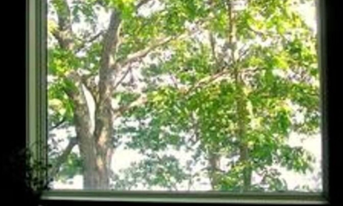 Cushing Apartment | Cozy waterfront apt overlooking St George river.