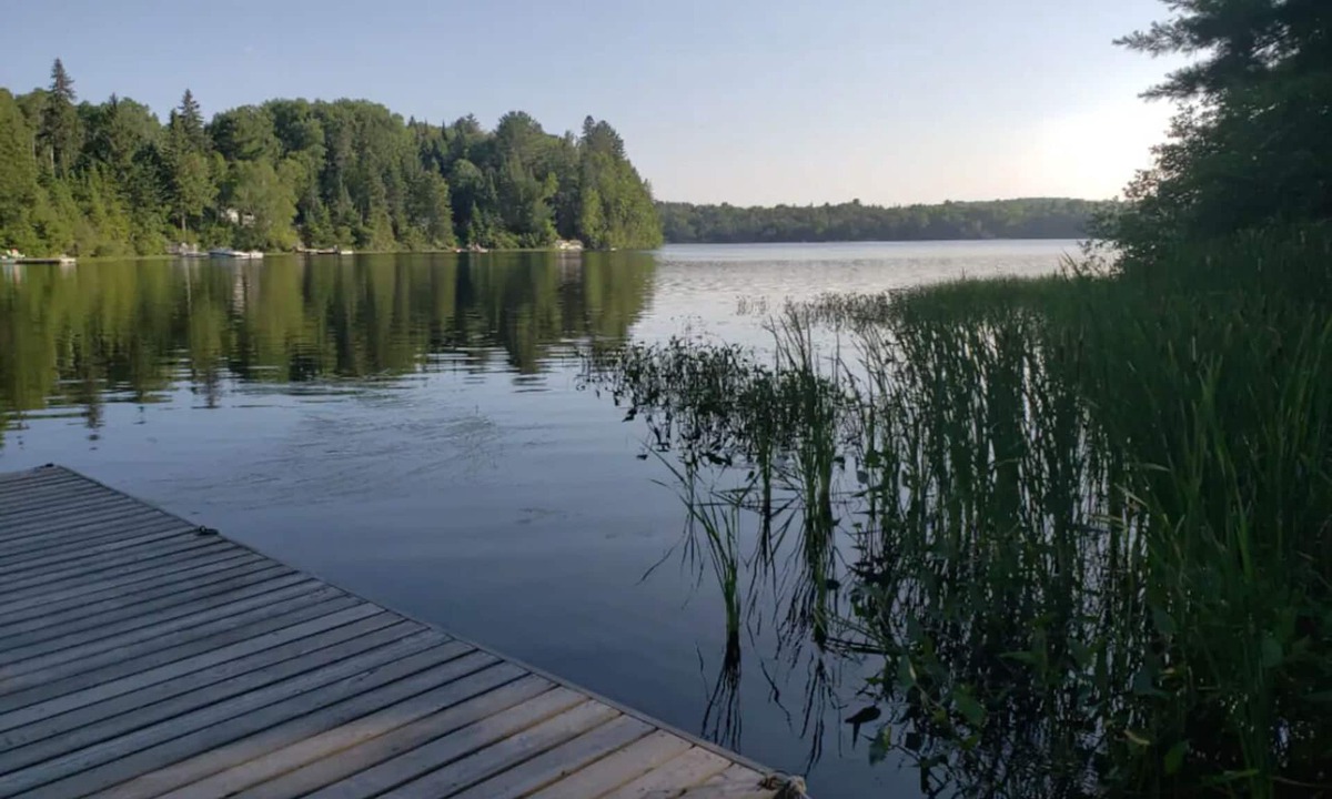 Novar Cottage | Cozy waterfront gem in Kearney
