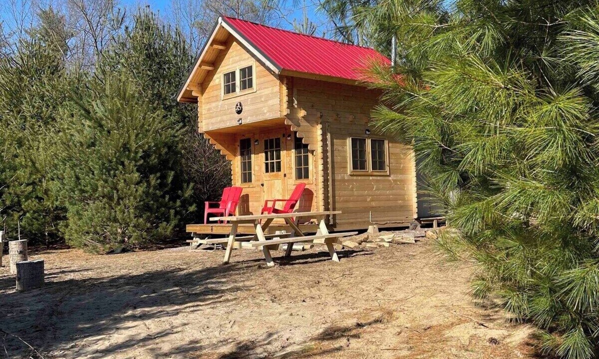 Langton Apartment | Cozy Woodland Bunkie + Outdoor Shower + WiFi