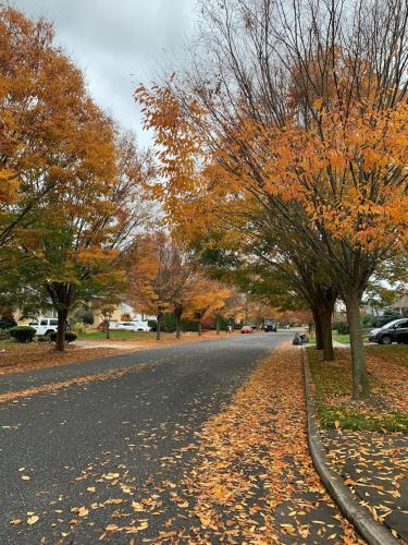 Jericho Apartment | Cozy1B1B W Private Entrance