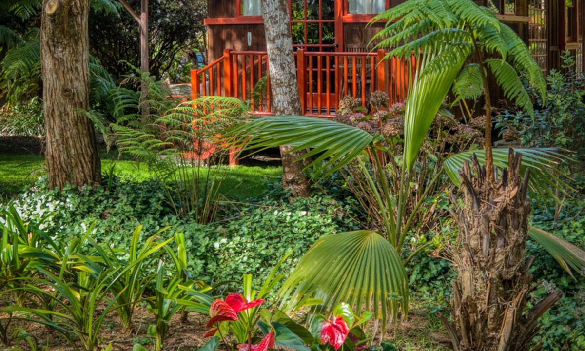 Volcano House | Crater Rim Cabin