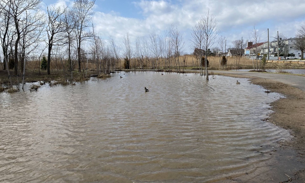 Great Kills House | Crescent beach walk distance to everything!