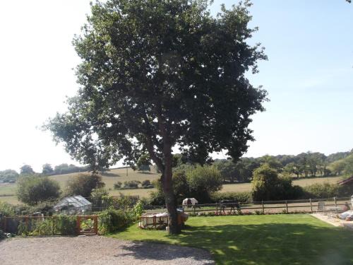 Rowlands Castle Bed & Breakfast | Cripple Creek Bed And Breakfast