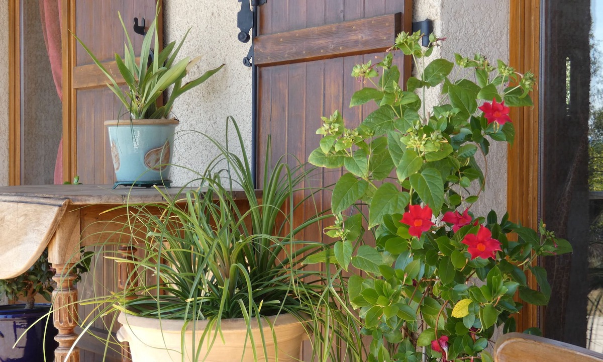 Cellieu Bed & Breakfast | Croix Blanche