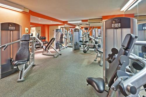 Rosemont Hotel | Crowne Plaza Chicago Ohare Hotel & Conf Ctr by IHG