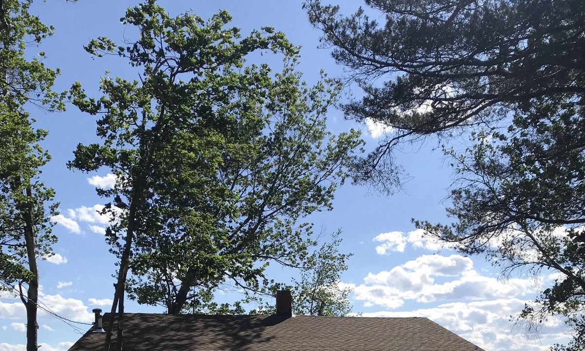 Harrison Cottage | Crystal Lake Cottage Waterfront - Sandy Beach