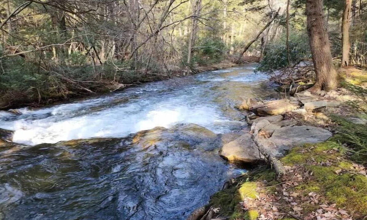 Clearfield Cabin | Cub Cabin @ The Bear's Den
