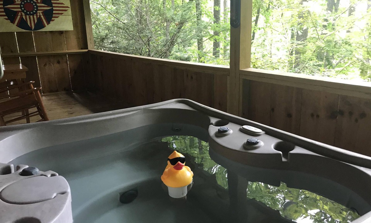 Candler Cabin | Cuddle Up and Relax - Hot Tub, Fireplace, View