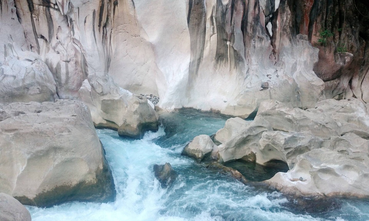 Curlewis House | Curlewis House